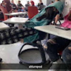 Meet your Posher, Ava